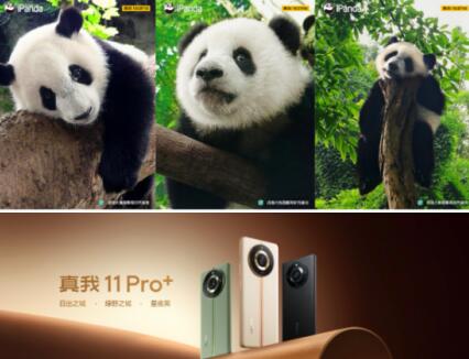 realme11 Pro+㳬èͼŴ󿴳ȹ